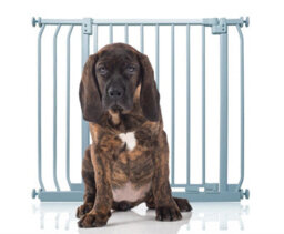Bettacare Elite Pressure Dog Gate, 80Cm - 89Cm, Matt Grey, Pressure Fit Pet Gate For Dog And Puppy - thumbnail 1