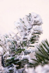 Christmas Tree World The Pre-Lit Connectable 270Cm Snowy Alpine Garland - thumbnail 9