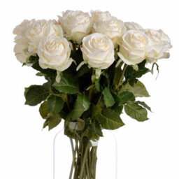 Hill Interiors Rose White Traditional Faux Plant - thumbnail 6