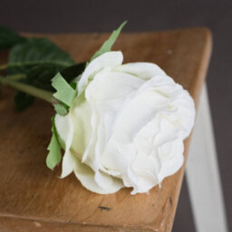 Hill Interiors Rose White Traditional Faux Plant - thumbnail 3