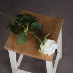 Hill Interiors Rose White Traditional Faux Plant - thumbnail 2