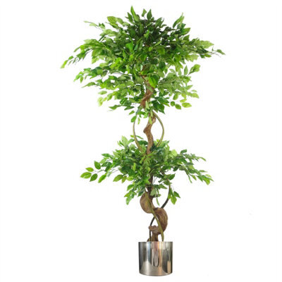 Leaf 150Cm Twisted Trunk Artificial Japanese Fruticosa Ficus Tree Silver Planter - image 1