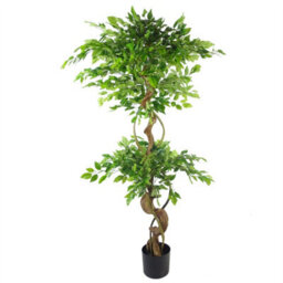 Leaf 150Cm Twisted Trunk Artificial Japanese Fruticosa Ficus Tree Silver Planter - thumbnail 4