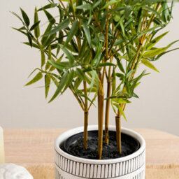 Scottish Everlastings Ltd. Scottish Everlastings Artificial 75Cm Mini-Leaf Bamboo Tree - thumbnail 3