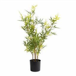 Scottish Everlastings Ltd. Scottish Everlastings Artificial 75Cm Mini-Leaf Bamboo Tree - thumbnail 2