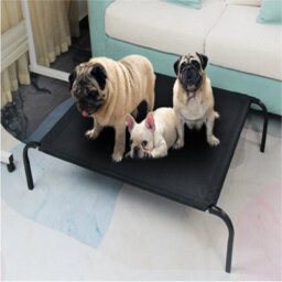 Small Premium Elevated Dog Bed Pet Cat Mesh Camping Cot Indoor Outdoor Waterproof - thumbnail 4