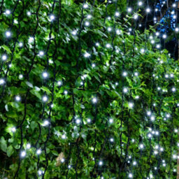 Christmas Tree World Crownvine 2 Pack 20 Led Bright White Curtain Lights 2M - Black Rubber Cable (For Crownvine Lights) - thumbnail 1