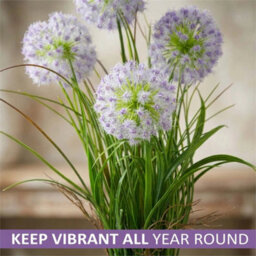 Purple 50Cm Modern Faux Artificial Dandelion Plants In Pot Silk Flowers Garden Decor - thumbnail 4