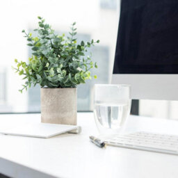 CLEFFNS 2Pcs Fake Plants Eucalyptus Potted For Home Office Bathroom Decor Sage Green Frosted Artificial Plant Decor For Shelf Desk Bedroom - thumbnail 6