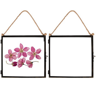 "Nicola Spring 5X Hanging Metal Photo Frames - 8"" X 8"" - Black - Picture Frame Wall Mounted Frame With Rope" - image 1