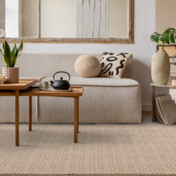 Ivory Natural Modern Plain Rug Easy To Clean Living Room And Bedroom-120Cm X 170Cm - thumbnail 1