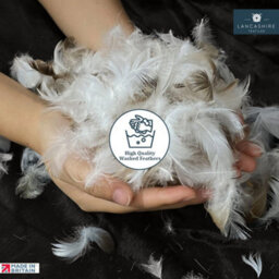 750G Ethically Sourced Real Natural Duck Feather Loose Filling, Ideal For Toy Stuffing, Cushions, Sofas And Crafts - thumbnail 6