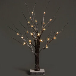 Netta 2Ft Twig Birch Tree With Pre-Lit With 24 Warm White Leds - Battery Powered - Brown - thumbnail 1