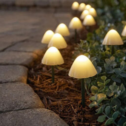 Star Supplies Solar Mushroom Pathway Lights Warm White Pearl Caps 10 Led 2M Lit Length - thumbnail 1