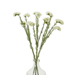 Hill Interiors Statice Artificial Flower Spray Cream (64Cm) - thumbnail 4
