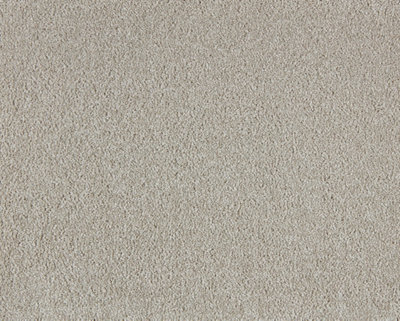 Soft Perfection Luxury Carpet By Remland (Elmwood, 5M X 4M) - image 1