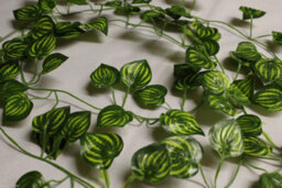 Best Artificial 7Ft - 210Cm Watermelon Ivy Garland String Strand Twine Decoration - Il06 - thumbnail 8