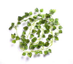 Best Artificial 7Ft - 210Cm Watermelon Ivy Garland String Strand Twine Decoration - Il06 - thumbnail 3