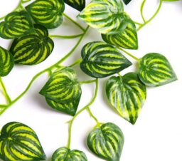 Best Artificial 7Ft - 210Cm Watermelon Ivy Garland String Strand Twine Decoration - Il06 - thumbnail 2
