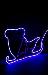 Shatchi Reindeer With Sleigh Neon Effect Rope Light Silhouette Double Side 90 Blue Leds - thumbnail 4