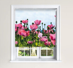 Lister Cartwright Blackout Roller Blind Pink Poppy Field Roller Blinds(150 Cm Width X 140 Cm Drop)