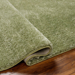Livabliss Round Cloudy Shaggy-Solid Color Green Plush Soft Pile Living Bedroom Rug 160 X 160 Cm Easy Care, Non Shedding - thumbnail 4