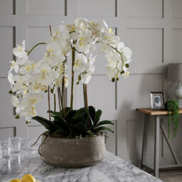 Hill Interiors Large White Orchid In Stone Pot - thumbnail 4
