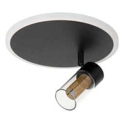 Lucide Everina Led Single Ceiling Spotlight With Remote Control Black - thumbnail 1