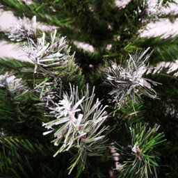 Snowtime Colorado Spruce Frosted Christmas Tree Green - 8Ft/240Cm - thumbnail 3