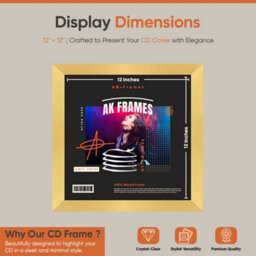 "12X12""  Gold Modern Vinyl Record Frame For 12 Inch Lp Album Covers - Elegant Wall Display - Ak Frames" - thumbnail 2
