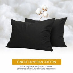 Pamposh 400 Thread Count Egyptian Cotton Pillow Cases 2 Pack Breathable Ultrasoft Pillow Covers