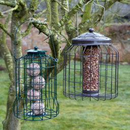 Gardman Squirrel Proof Wild Bird Seed Peanut & Fat Ball Feeder Heavy Duty Hanging Garden Feeder - thumbnail 2