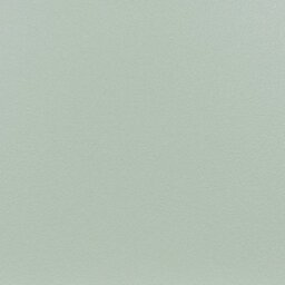 Wyld And Coco Set Of 2 Light Green Counter-Height Bar Stools With Powder-Coated Metal Legs - thumbnail 8