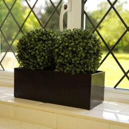 GreenBrokers (Window Box) 35Cm Double Boxwood Topiary Balls In Black Tin Planter - thumbnail 4