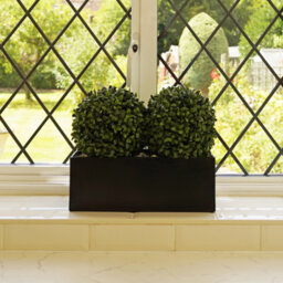 GreenBrokers (Window Box) 35Cm Double Boxwood Topiary Balls In Black Tin Planter - thumbnail 3