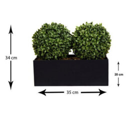 GreenBrokers (Window Box) 35Cm Double Boxwood Topiary Balls In Black Tin Planter - thumbnail 2
