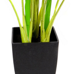 Greenbrokers Artificial Real Touch Pothos Plant In Black Pot(75Cm) - thumbnail 3