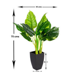 Greenbrokers Artificial Real Touch Pothos Plant In Black Pot(75Cm) - thumbnail 2