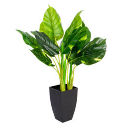 Greenbrokers Artificial Real Touch Pothos Plant In Black Pot(75Cm) - thumbnail 1