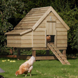 Rowlinson Large Timber Chicken Coop - thumbnail 1