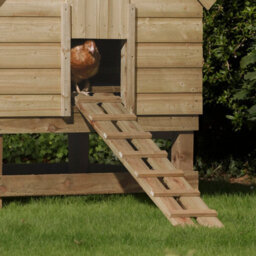 Rowlinson Large Timber Chicken Coop - thumbnail 9