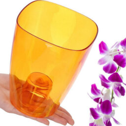 B2C Plant Orchid Pot Plastic  Gloss Oval Planter 12 Cm Orange Square