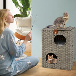 Rattan Cat House For Indoor 2 Tier Cat Condo W/ Cushions - thumbnail 3