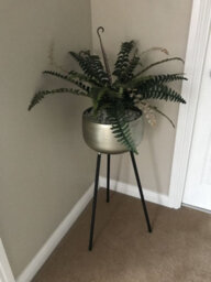 Leaf Large Artificial Fern Plant Pot 60Cm Boston Fern Faux House Plants Botanik - thumbnail 4