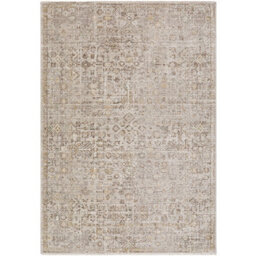 Livabliss Galey Alix Myrtle Avenue-Vintage Beige Grey Brown Traditional Boho Fringe Living Dining Bedroom Rug 120 X 170 Cm Easy Care