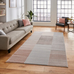Grey Rose Striped Modern Rug Easy To Clean Dining Room-120Cm X 170Cm - thumbnail 1