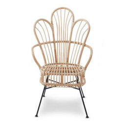 Orsina Brown Natural Rattan Back Chair Metal Legs, High Back Rattan Lounge Chair, Outdoor Rattan Chair For Garden - thumbnail 2