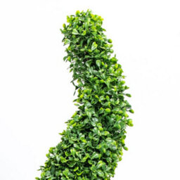 Primrose Artificial Outdoor Patio Box Topiary Buxus Grass Spiral Bush 120Cm - thumbnail 3