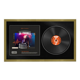 "30X17"" Gold Classic Vinyl Record Frame With Black Mount For 12 Inch Lp Album Cover & Disc - Ak Frames"