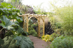 Forest Garden Large Wooden Garden Ultima Pergola Arch - thumbnail 1